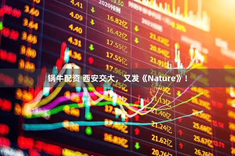 锅牛配资 西安交大，又发《Nature》！