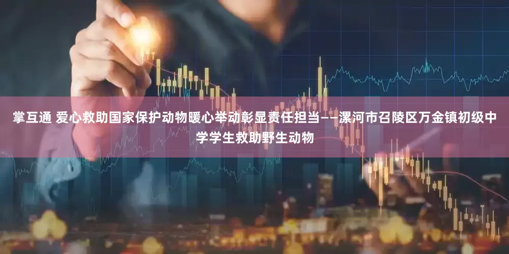 掌互通 爱心救助国家保护动物暖心举动彰显责任担当——漯河市召陵区万金镇初级中学学生救助野生动物