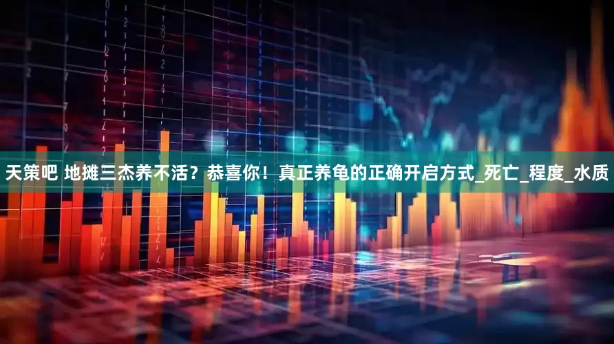 天策吧 地摊三杰养不活？恭喜你！真正养龟的正确开启方式_死亡_程度_水质