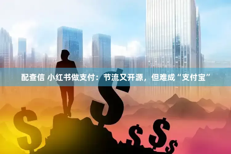 配查信 小红书做支付：节流又开源，但难成“支付宝”